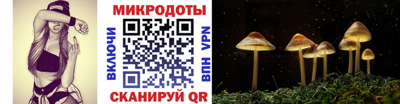 Галлюциногенные грибы прущие грибы  hydra tor  Красногорск 