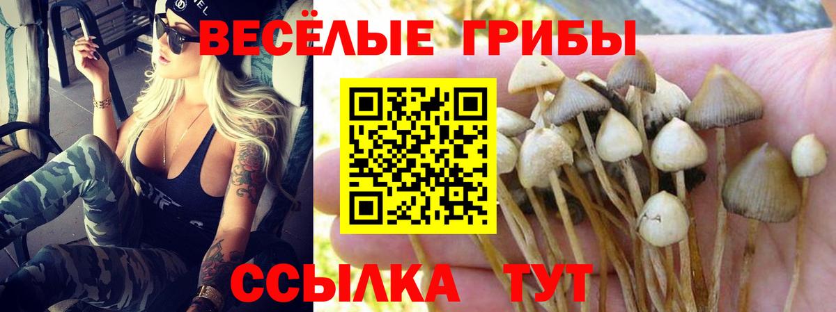 Галлюциногенные грибы MAGIC MUSHROOMS Красногорск