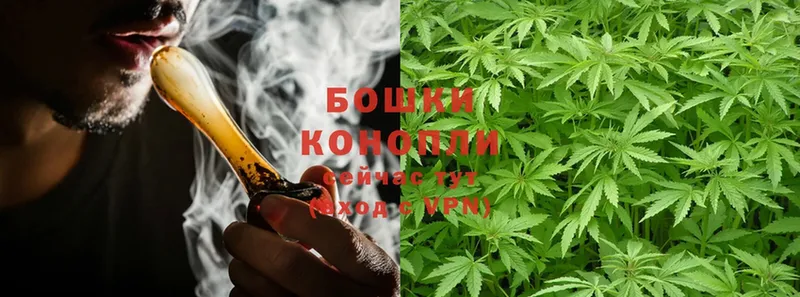 Бошки Шишки OG Kush  Красногорск 